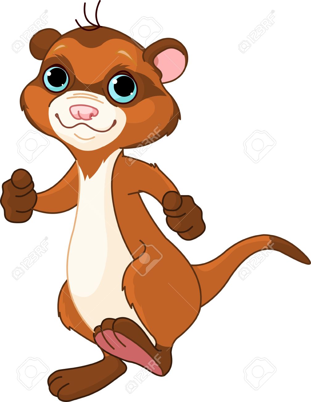 1008x1300 Top 95 Ferret Clipart