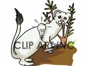 300x225 Minks Weasel.gif Clip Art Clipart Panda