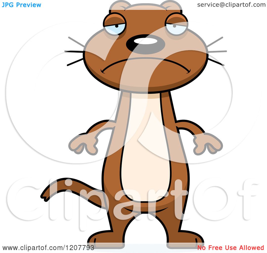 1080x1024 Cartoon Of A Depressed Skinny Weasel