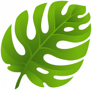 300x293 Leaf Png Clipart Exotic Leaf Png Clip Art Best Web Clipart Cute