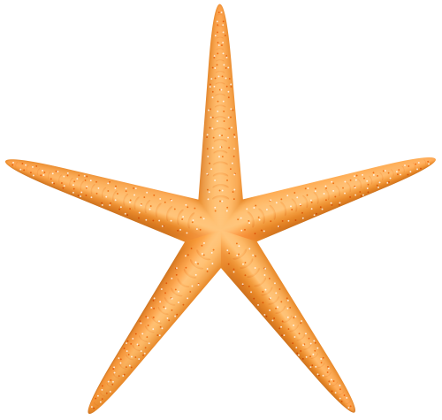 500x475 Yellow Starfish Png Clip Art Best Web Clipart Clip Art