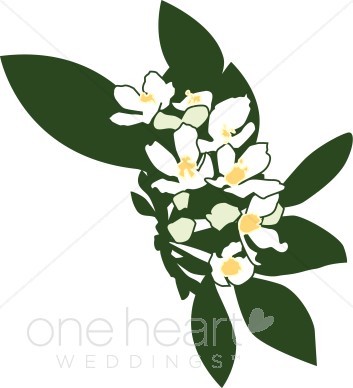 353x388 Clipart White Flowers Wedding Flower Clipart