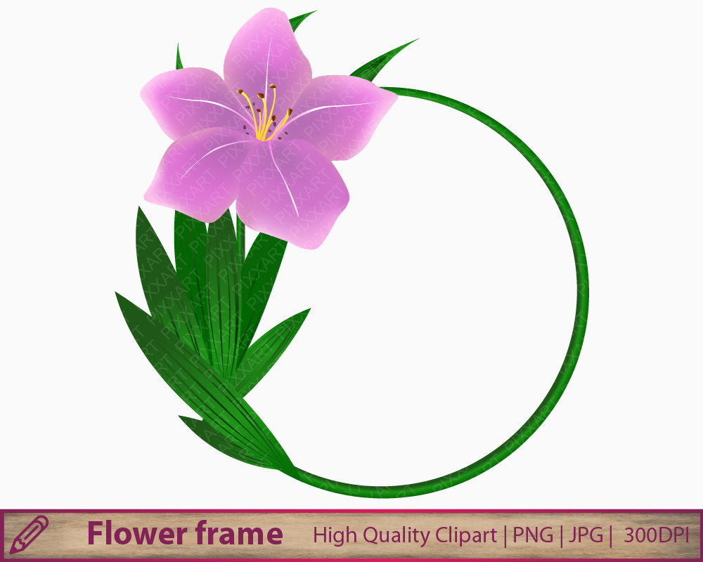 1000x800 Pink Flower Clipart, Purple Lily Background Clip Art, Digital
