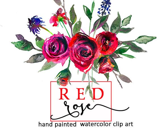 570x456 Red Roses Watercolor Digital Floral Clipart Bourgundy Purple