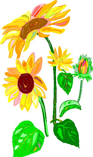 302x508 Sunflower Clip Art Flowers And Plants