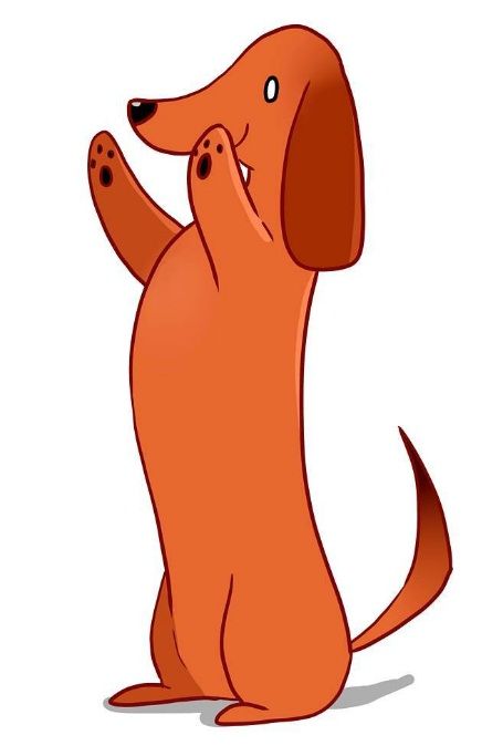 455x683 Dachshund Clube Doxie Love Dachshunds, Weiner Dogs