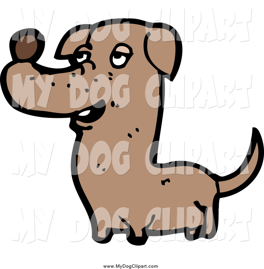 1024x1044 Wiener Dog
