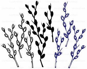 340x270 Pussy Willow Clipart Etsy