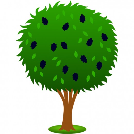 520x520 Tree Clip Art 175 Free Clip Art Trees Hubpages