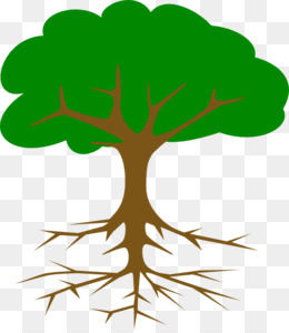 260x300 Tree Root Branch Drawing Clip Art
