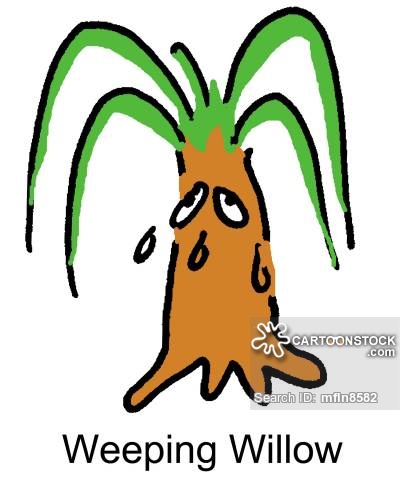 400x480 Willow Cartoons And Comics