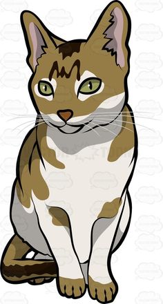 236x440 A Cute Little Weimaraner Puppy Weimaraner Puppies And Weimaraner