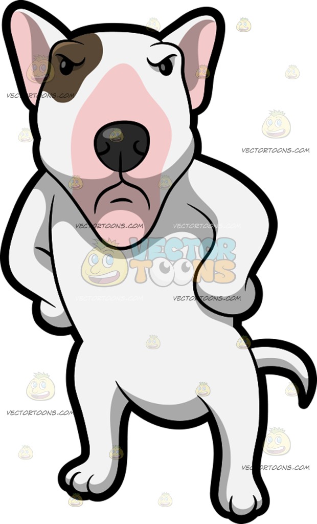 620x1024 An Angry Bull Terrier Cartoon Clipart Vector Toons