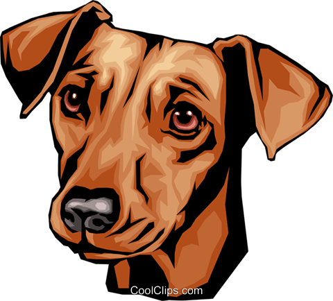 480x434 Dachshund Royalty Free Vector Clip Art Illustration Anim0091