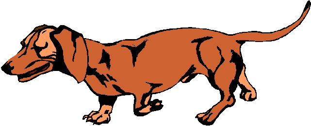 641x261 Dachshund Clipart Animated