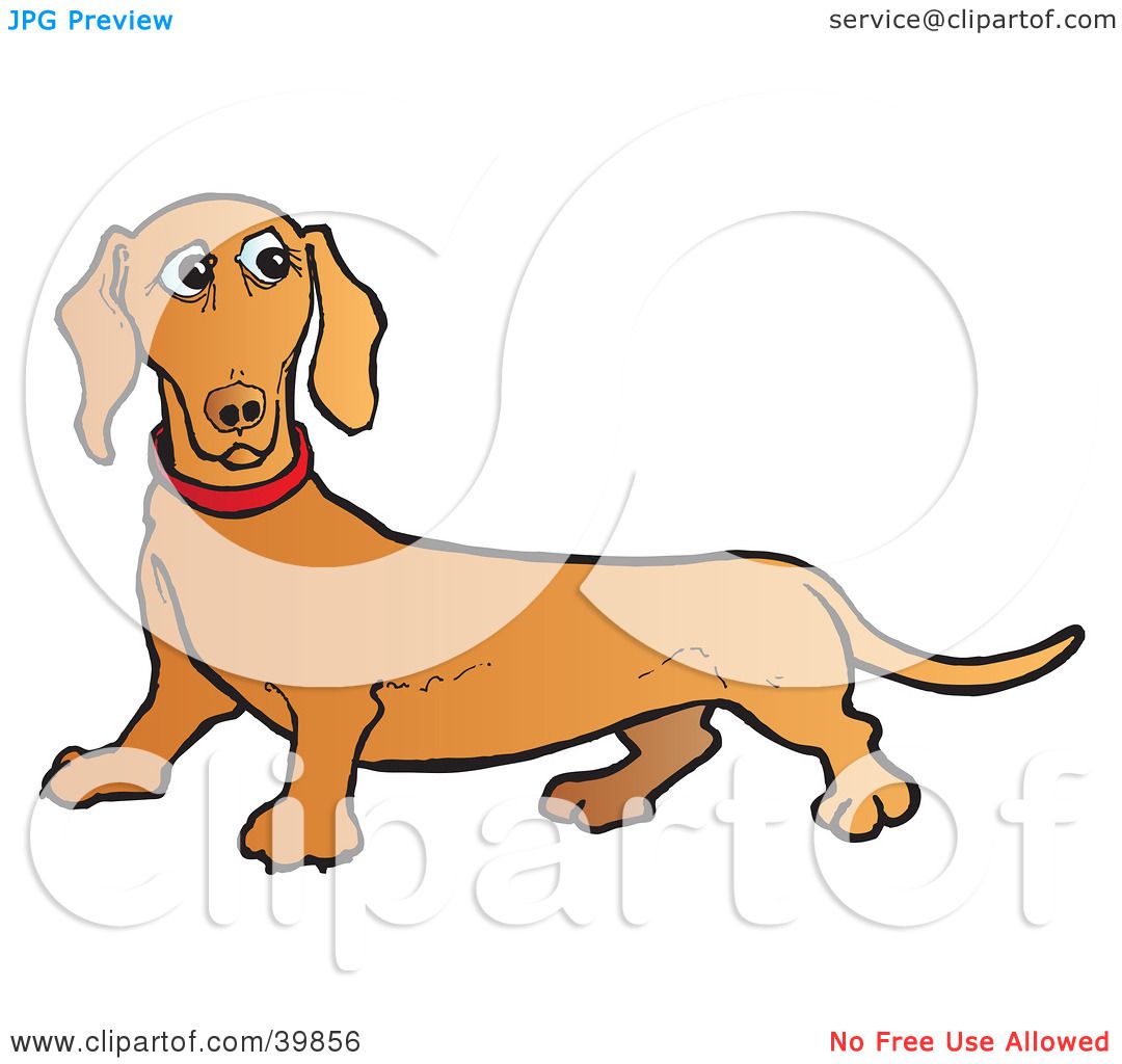 1080x1024 Clipart Illustration Of A Confused Brown Dachshund Dog By Snowy