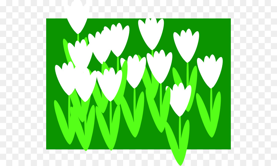 900x540 Flower Spring Clip Art