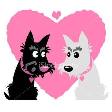 380x380 Love Scotties Scottie Lovin! Scottish Terrier