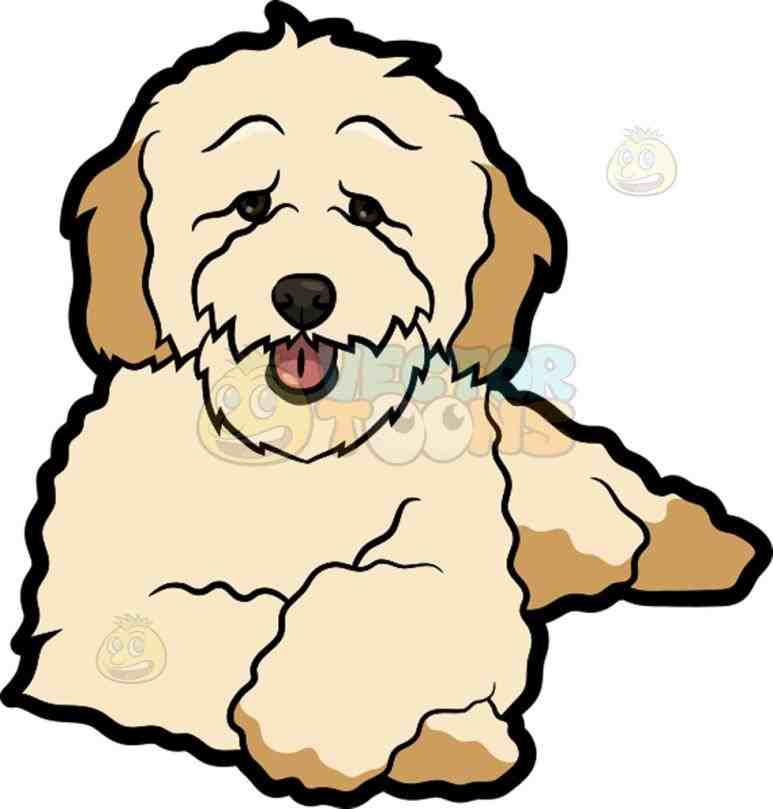 773x809 Cream Colored Poodle Cartoon Clipart Clip Art Library Cartoon Mini