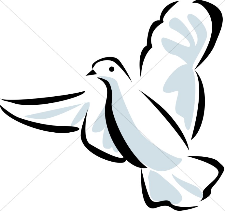 776x727 The Beak Of The Wing Below Clipart