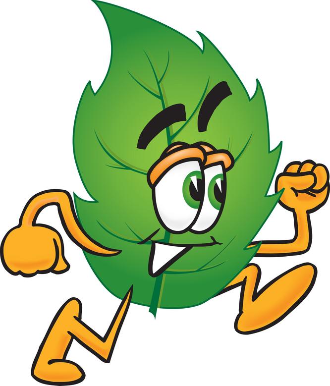 666x779 Habitat Clipart