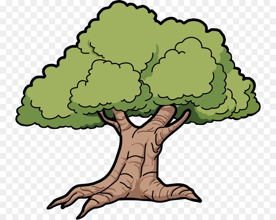 900x720 Tree Cartoon Drawing Clip Art