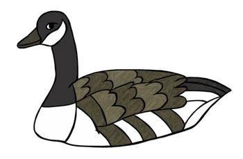 350x230 Wetlands Habitat Doodles Digital Clip Art (Bw And Color Png Files)