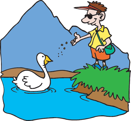 558x515 Wetlands Teachers (Science Trek Idaho Public Television)