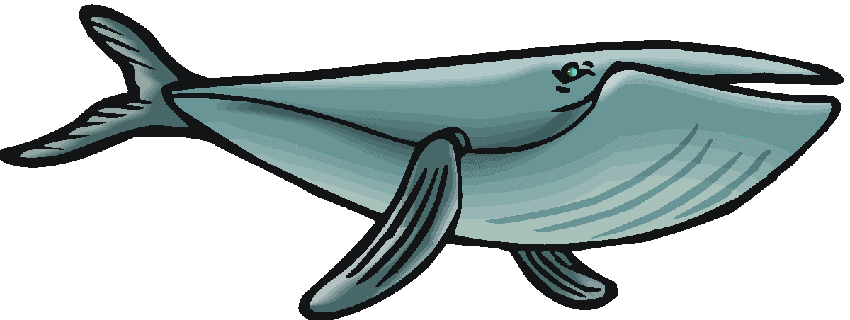 1200x452 Free Whale Clipart