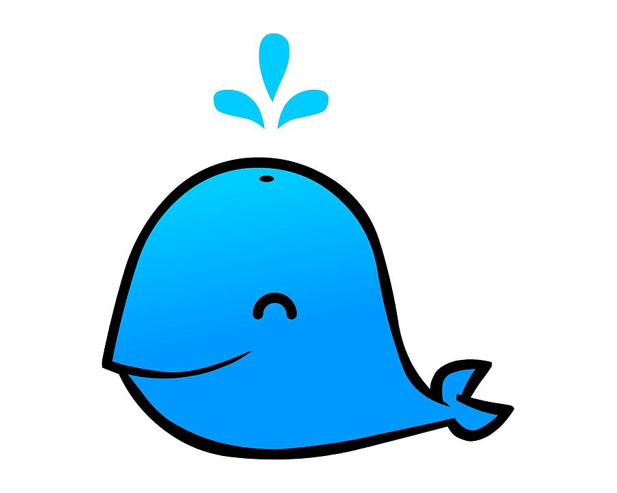 900x719 Little Whales Clipart