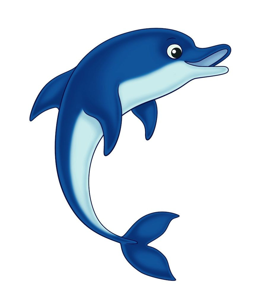 863x1013 Cool Dolphin Clipart Beauteous Free