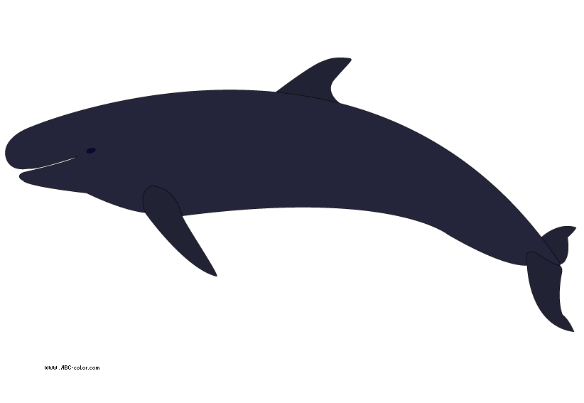 822x567 Collection Of Whale Clipart No Background High Quality, Free