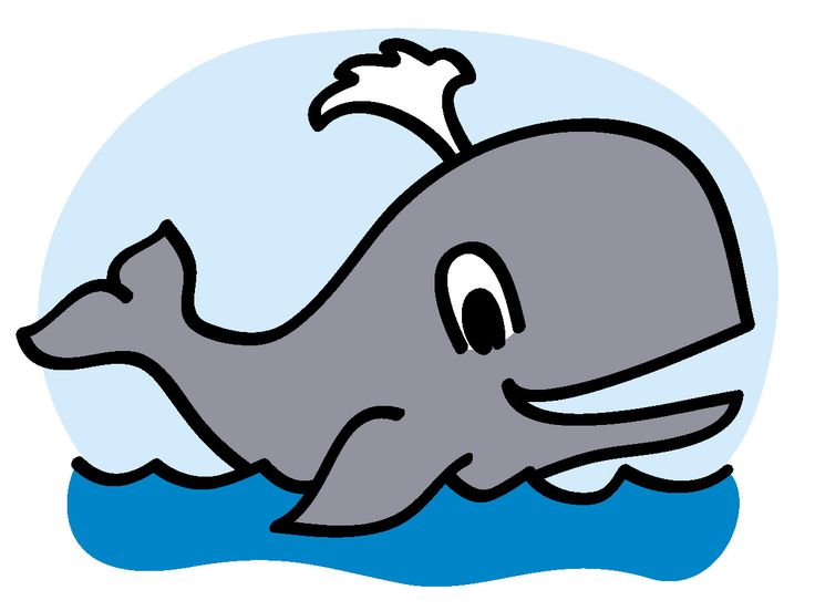 736x552 Pot Whale Clipart