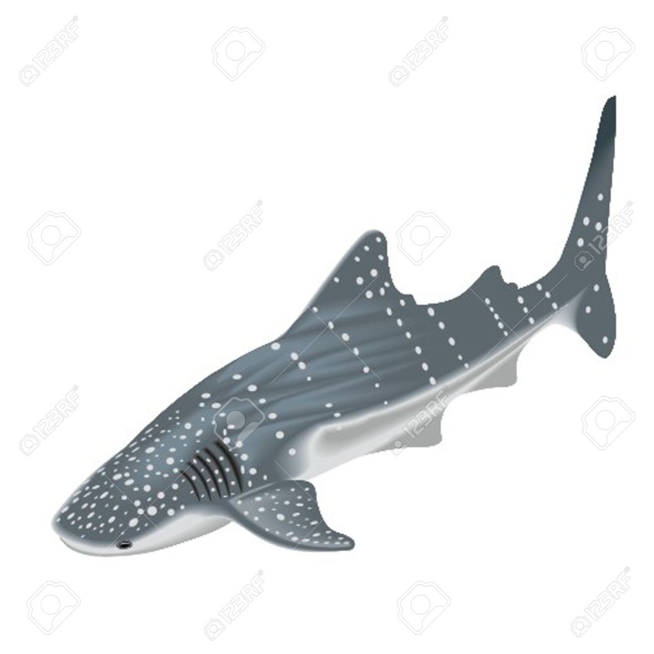1300x1300 Sea Creatures Clipart Under The Clip Art Whale Shark Stuning