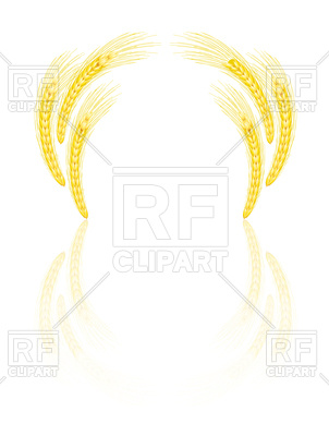 302x400 Golden Wheat Ear Royalty Free Vector Clip Art Image