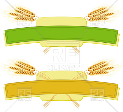 400x365 Package Design