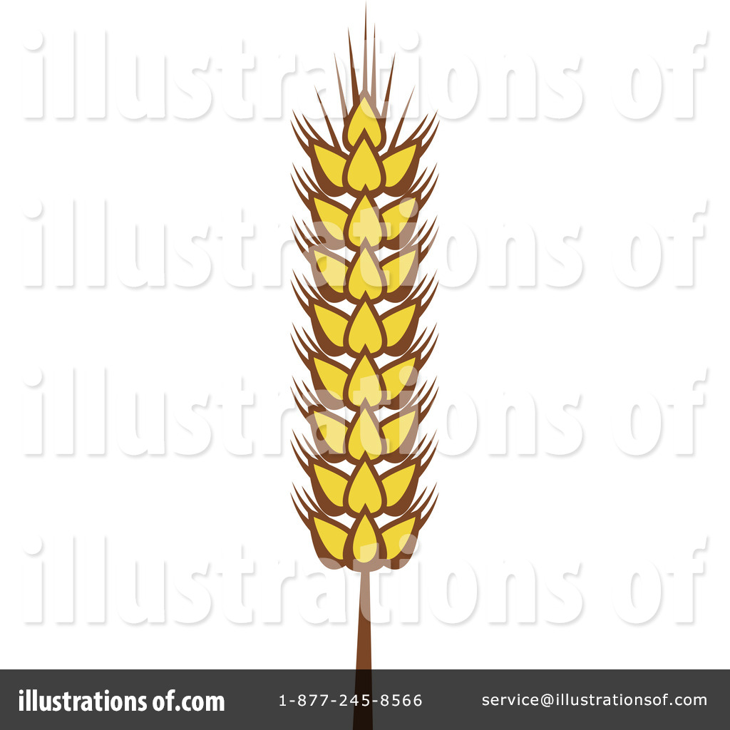 1024x1024 Wheat Clipart