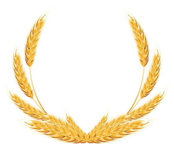 600x511 Wheat Decoration Png Clipart Image Photoshop Tutos Freebies