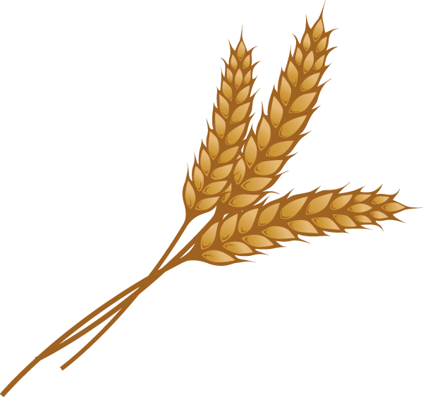 600x563 Wheat Clipart 2 Nice Clip Art