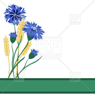 400x400 Wheat Ears And Blue Flowers Royalty Free Vector Clip Art Image