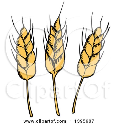 450x470 Clipart Strand Of Wheat And Green Leaves 6