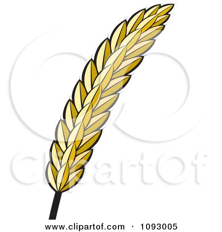 450x470 Clipart Of Curved Wheat Stalks
