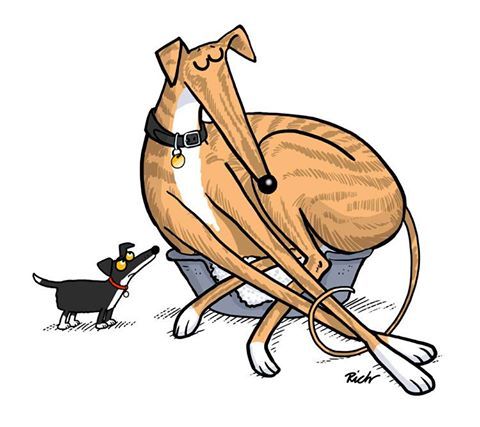 480x427 Familiar By Richard Skipworth. Greyt Cartoons 2