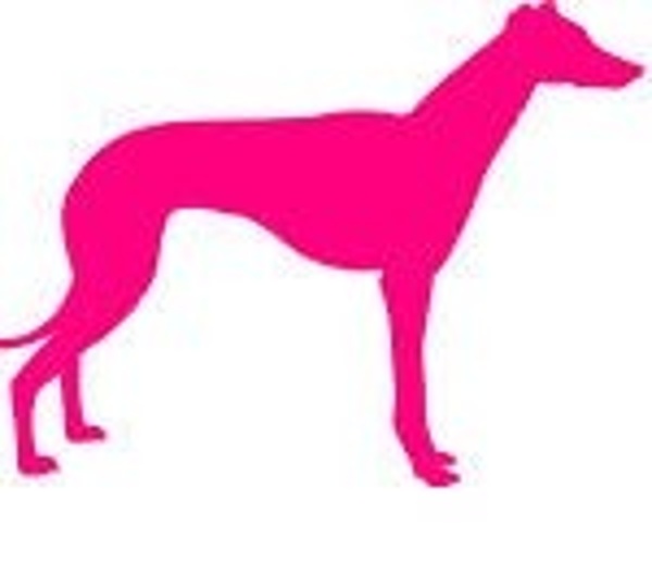 600x540 The Retrievers Talent Retriever