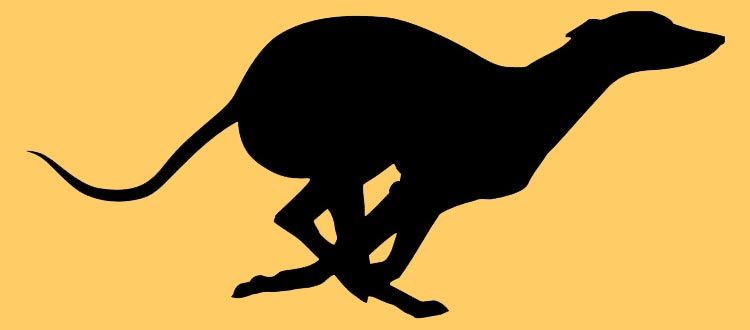 750x330 There Is 34 Greyhound Paw Print Free Cliparts All Used For Free