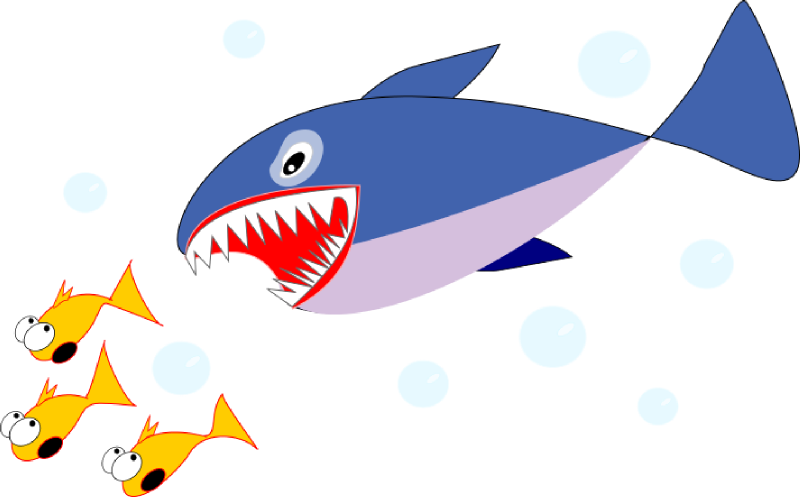 800x497 Great White Shark Fish Clip Art