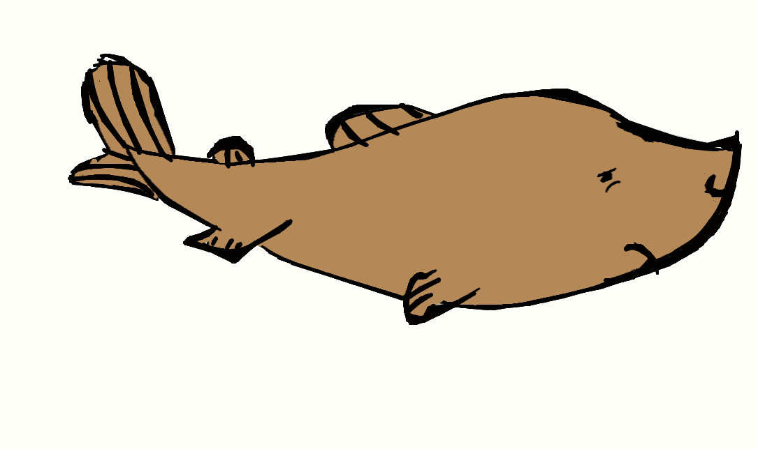 1085x644 Great White Shark Pinniped Clip Art