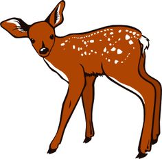 236x232 Filewhite Tailed Doe With Tail Flagged For Danger.jpg Public