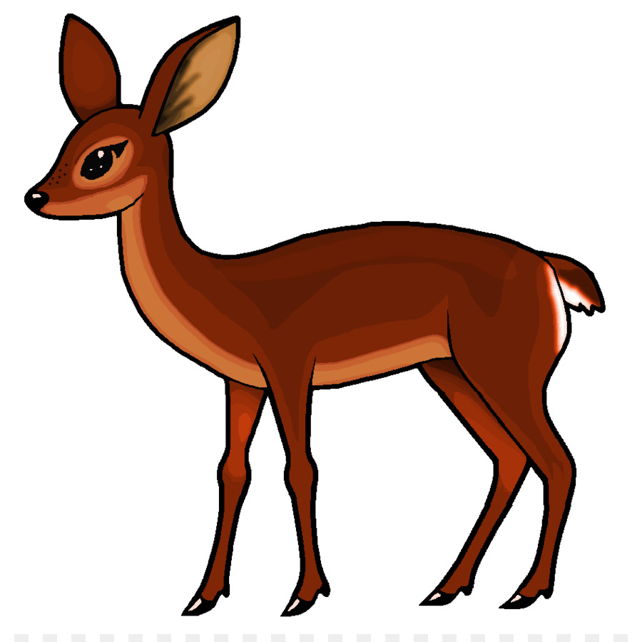900x900 Roe Deer White Tailed Deer Clip Art