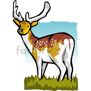 300x300 Royalty Free Large White Tailed Deer In Velvet 131209 Vector Clip